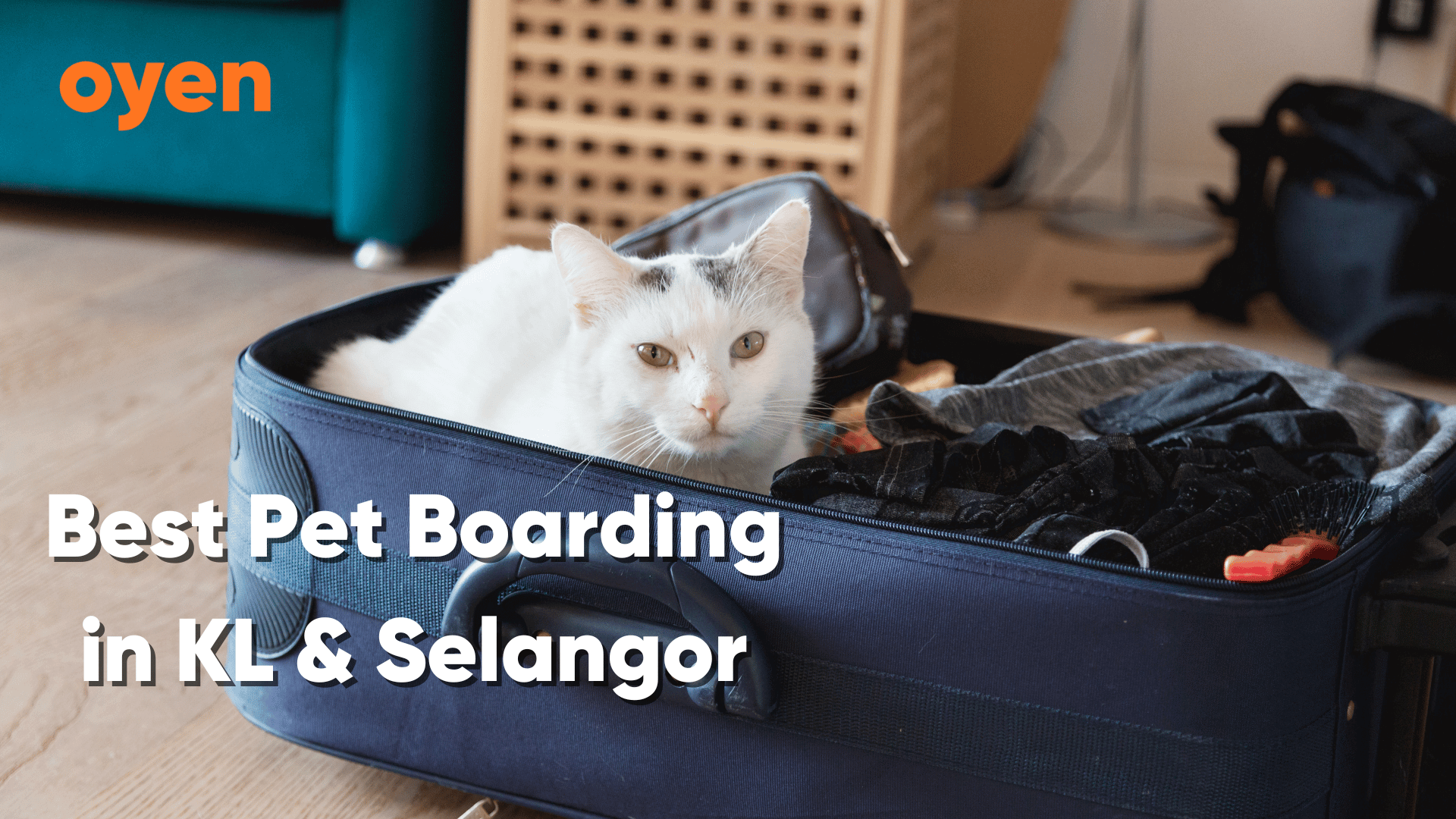 14 Best Pet Boarding & Hotel in Klang Valley (Including Costs)